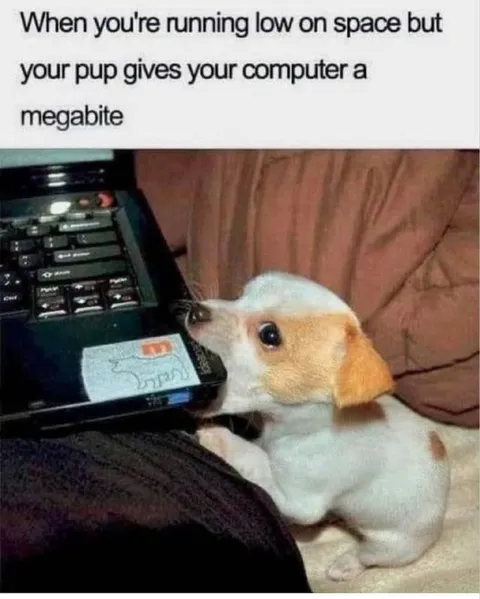 Pup Gives a Megabite