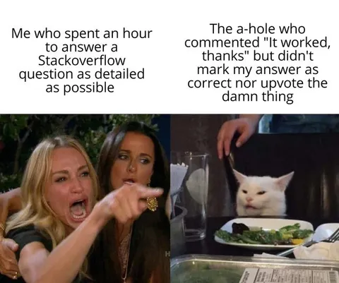 Stack Overflow Answer Rage