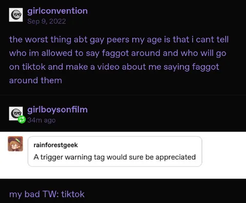 Gay Peers TikTok Trigger Warning