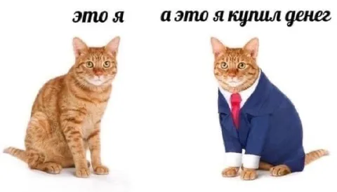 Это я и я купил денег