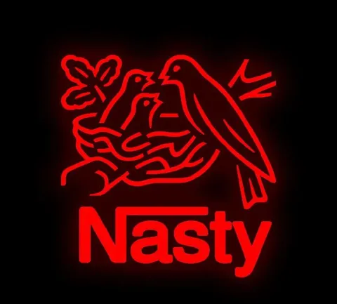 Nasty Bird Nest