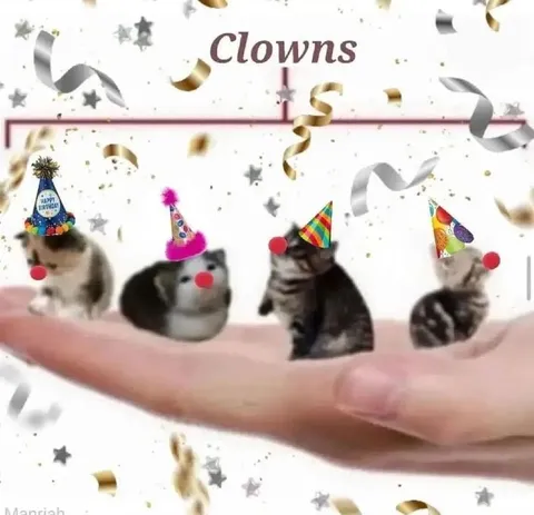 Hamster Clowns Birthday Party