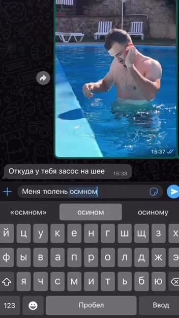 Тюлень ударил осьминогом