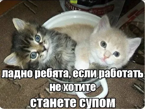 Станьте супом вместо работы