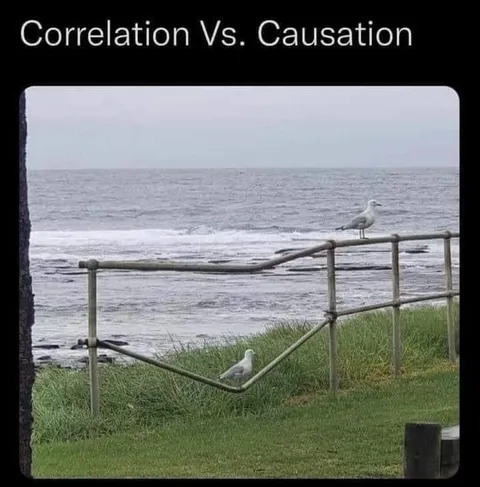 Correlation Vs. Causation Gulls