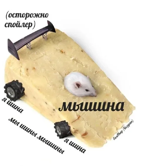 Мышина и мышиные машины