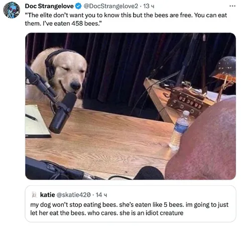 Dog Eats Five Bees