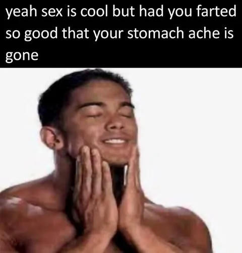 Farting Makes the Stomach Ache Go Away
