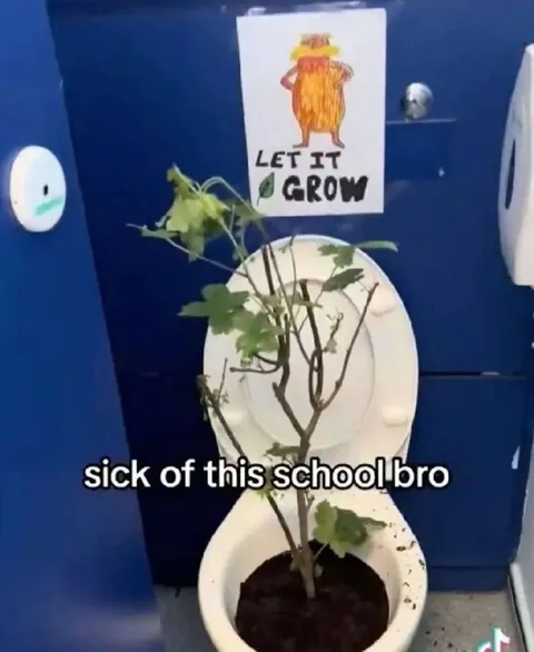 Sick of This School Bro
