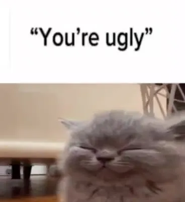 You’re Not Sigma Cat
