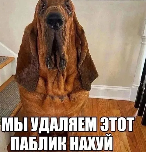 Удаляем этот павлик нахуй