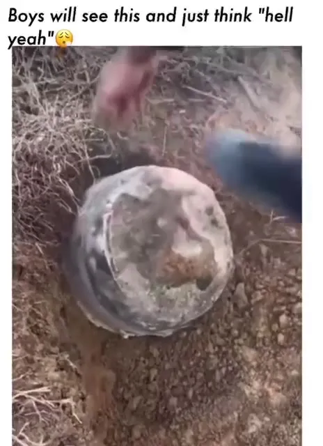 Boys See the Perfect Slope
