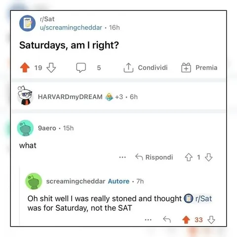 Stoned Reddit Saturday Mix-Up