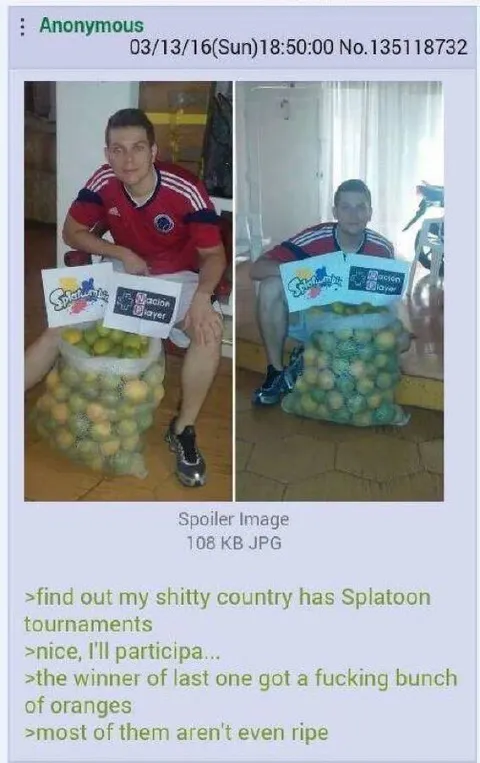 Splatoon Tournament Prize Oranges