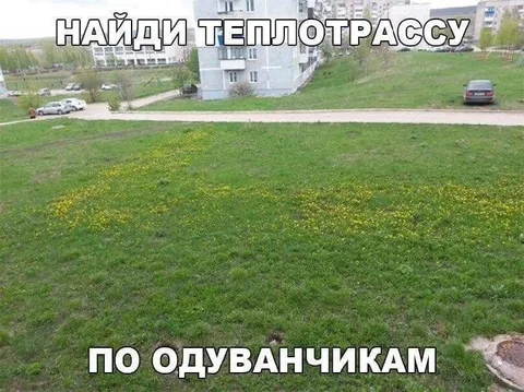 Найди теплотрассу по одуванчикам