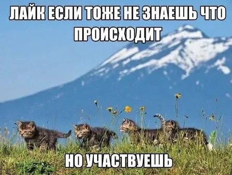 Не знаешь, что происходит