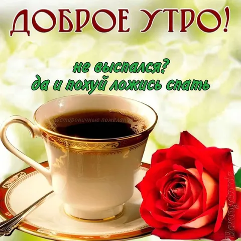 Доброе утро, ложись спать