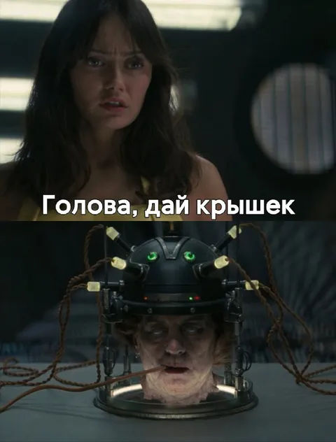Голова, дай крышек