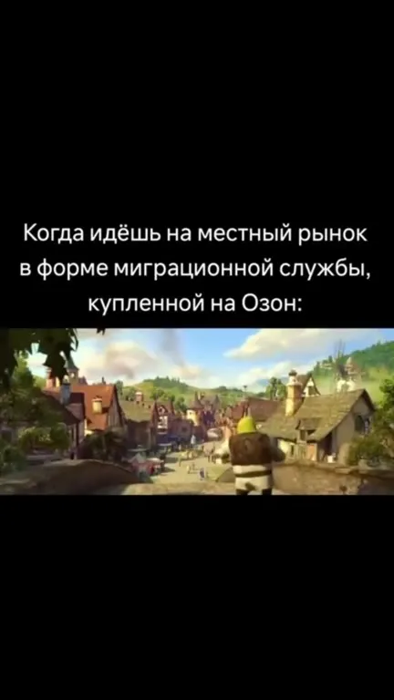 Шрек в форме миграционной службы