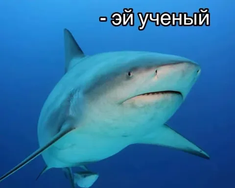 Эй ученый, объясни это