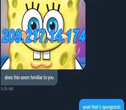 SpongeBob Recognizes the IP Address