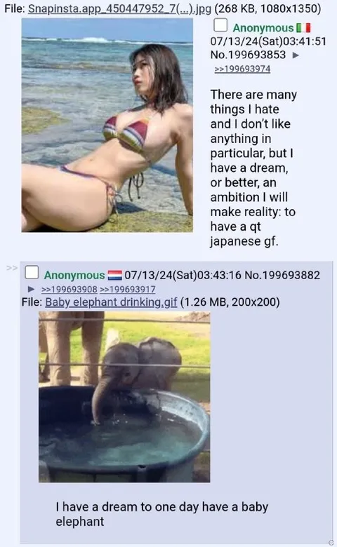 Japanese Girlfriend Dream