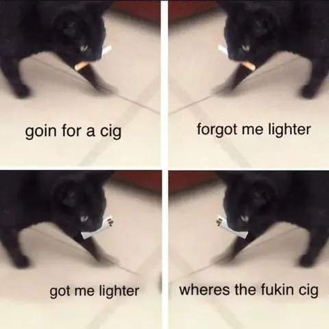 Cat Forgets the Cigarette