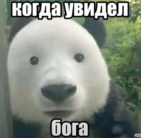 Когда увидел Бога