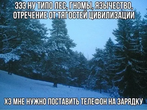 Лес, гномы и зарядка телефона