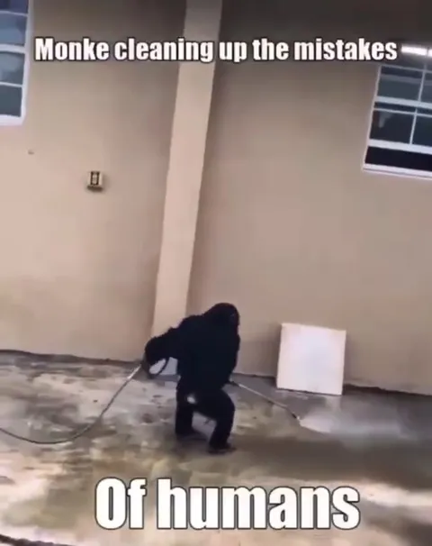 Monke Cleaning Human Mistakes