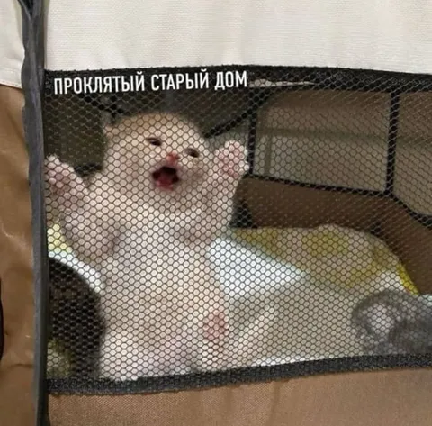 Проклятый старый дом