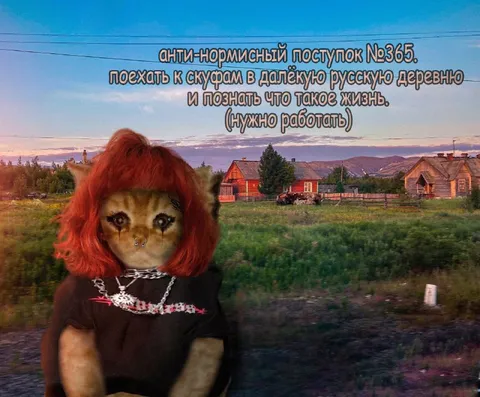 Поехать к скуфам в деревню