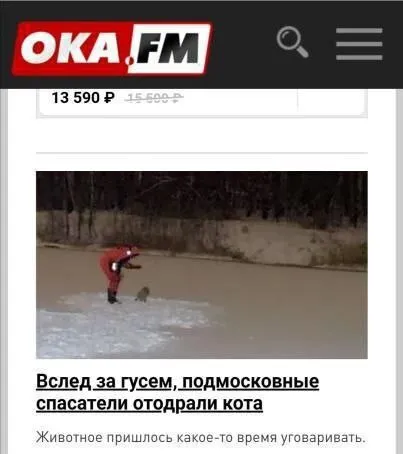Спасатели отодрали кота вслед за гусем