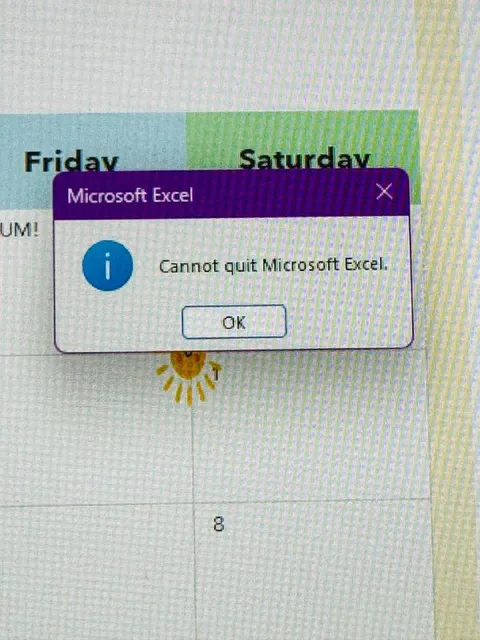 Cannot Quit Excel on Saturday