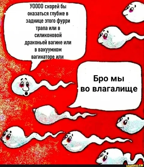 Бро, мы во влагалище
