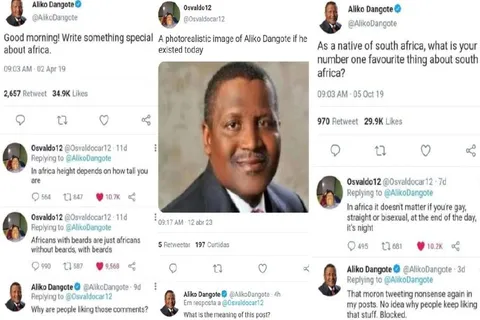 Aliko Dangote Twitter Reply Chaos