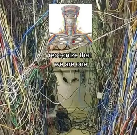 Recognize That We Are One