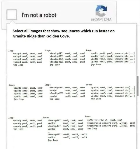 Assembly Code CAPTCHA Challenge