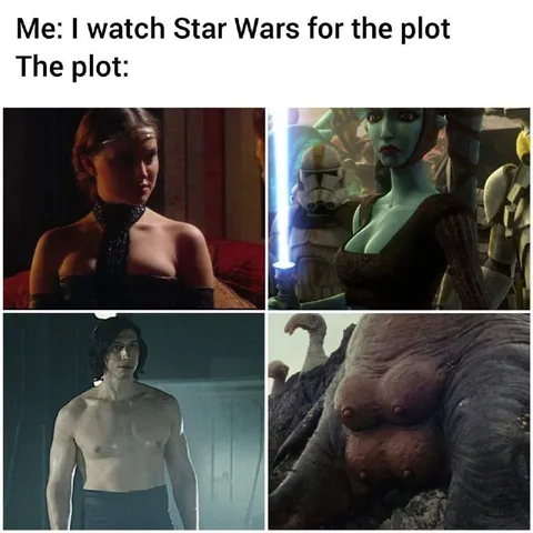 Star Wars Plot Enjoyers