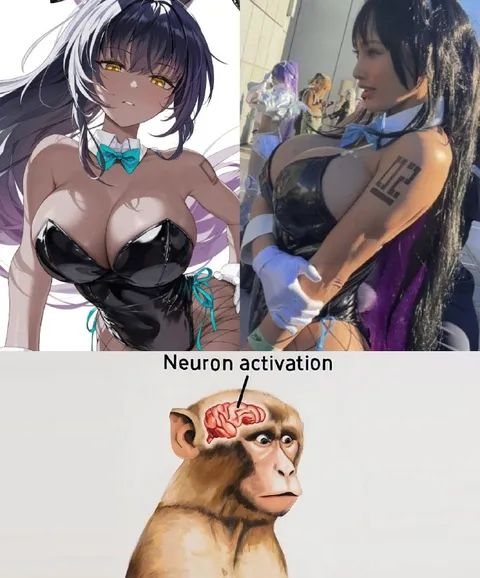 Neuron Activation Comparison