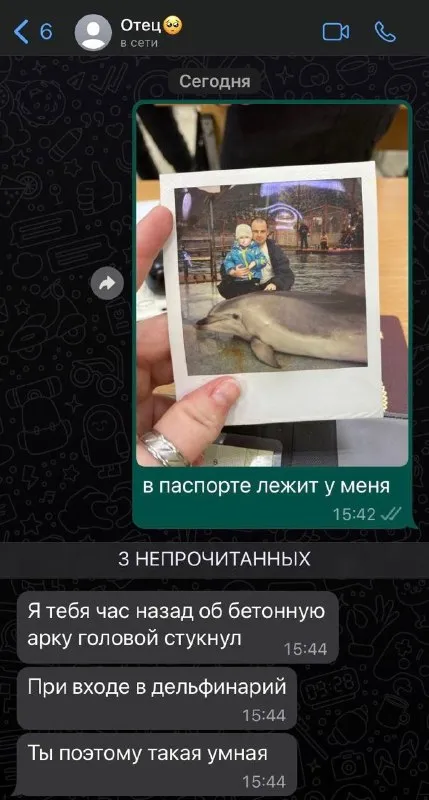 Умная после дельфинария