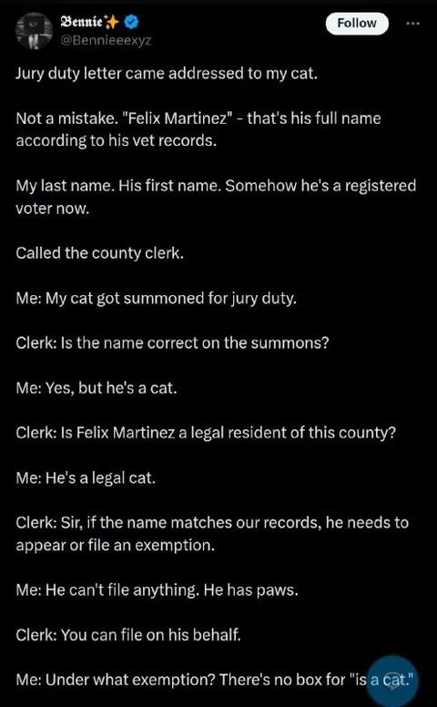 Cat Summoned for Jury Duty