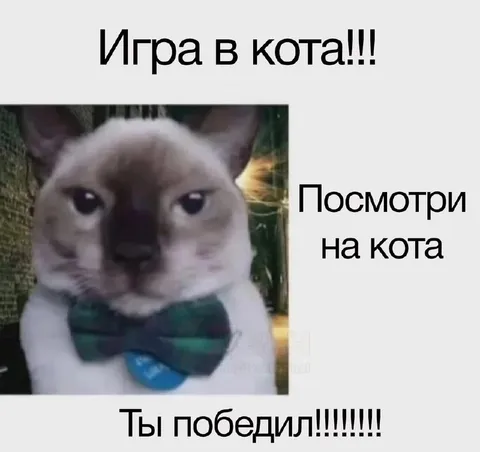 Игра в кота с победой