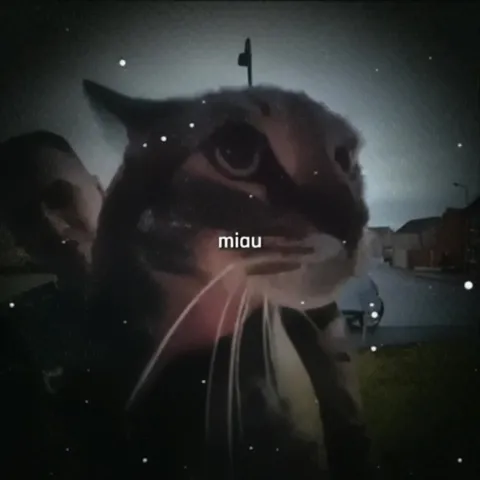 Гигантский кот говорит «miau»