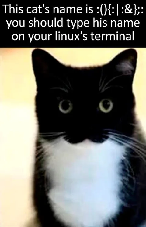Linux Terminal Cat Name