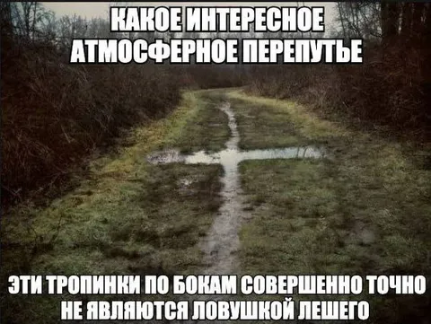 Атмосферное перепутье в лесу