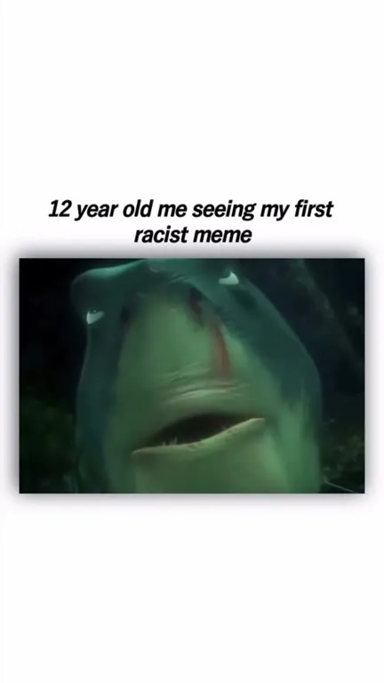 First Racist Meme Reaction