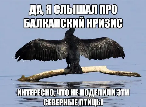 Балканский кризис у птиц