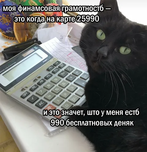 Финансовая грамотность по-котовски