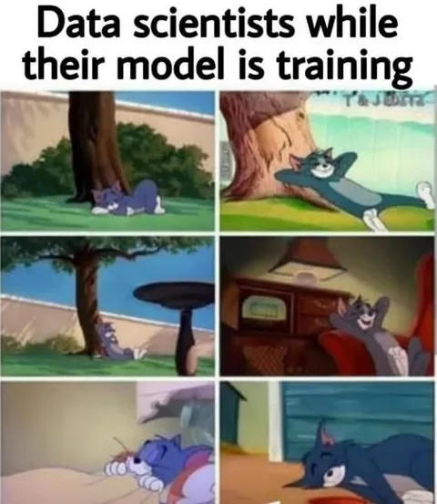 Data Scientists While Model Trains